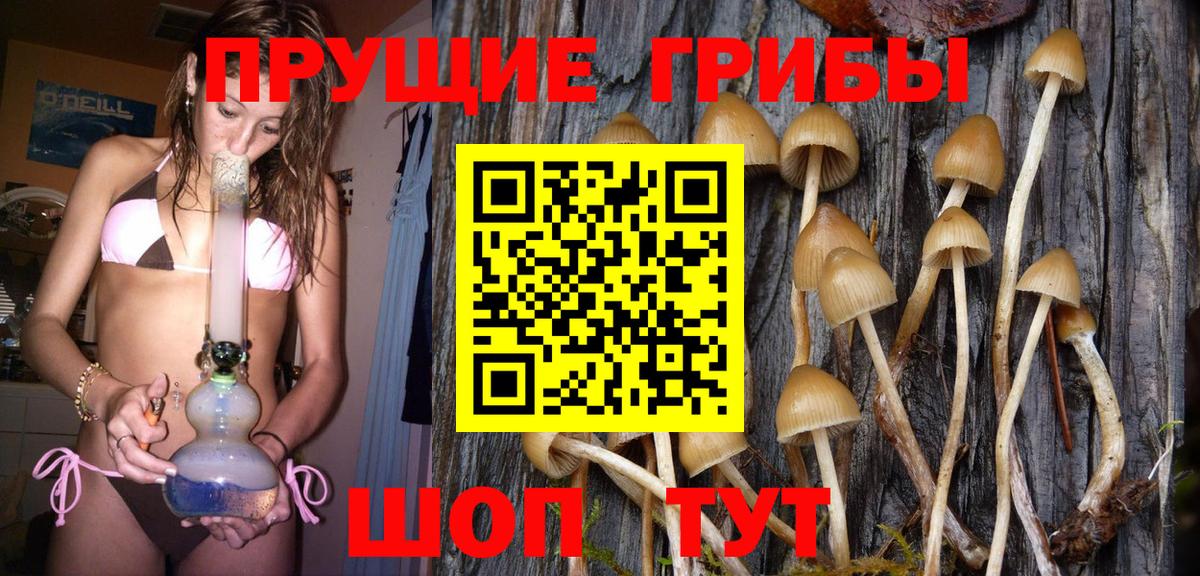 Псилоцибиновые грибы мухоморы Сертолово